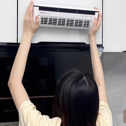 Ice mist air conditioner